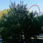 Ronf & Gnam Galimberti Apartman Torino